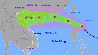 Đường đi, tác động của bão Wipha có hình dáng bão Yagi
