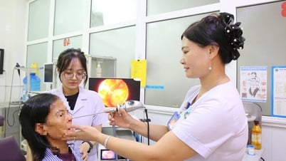 Ổ dòi trong hốc mũi nữ bệnh nhân 60 tuổi