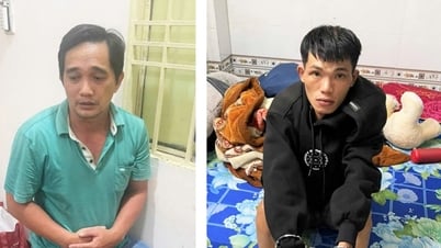 Bắt giữ 2 đối tượng đột nhập nhà dân trộm cắp nhiều tài sản