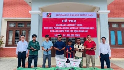Agribank chi nhánh Quảng Nam trao sinh kế cho nhân dân xã Tây Giang