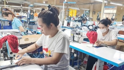 Không để bị động trước rào cản thương mại