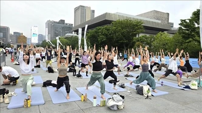 Công bố hiệu quả điều trị mất ngủ nhờ thái cực quyền, yoga và chạy bộ