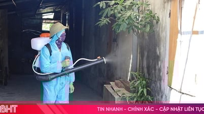 Xuất hiện ổ dịch sốt xuất huyết đầu tiên tại Hà Tĩnh