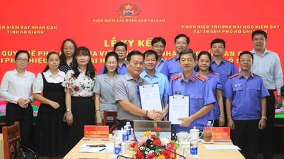 Viện Kiểm sát nhân dân tỉnh An Giang và Phân hiệu Trường Đại học Kiểm sát tại TP. Hồ Chí Minh ký kết quy chế phối hợp