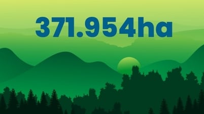 371.954 ha - là tổng diện tích đất có rừng tại Quảng Ninh hiện nay