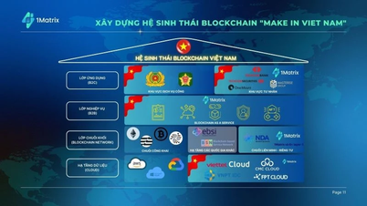 Cơ hội để cá nhân, tổ chức tham gia mạng blockchain dịch vụ đa chuỗi Việt Nam