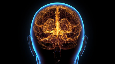 Dấu hiệu cảnh báo cơ thể đang mắc bệnh Alzheimer