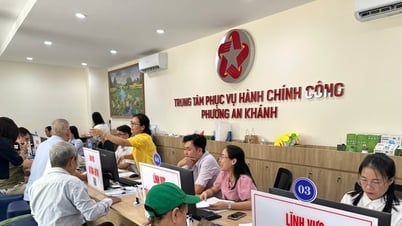 TP Hồ Chí Minh: Cấp phường cần thêm nhân lực và hạ tầng