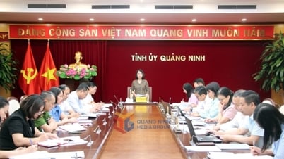Thường trực Tỉnh ủy duyệt nội dung Đại hội Đảng bộ phường Quang Hanh và phường Cửa Ông
