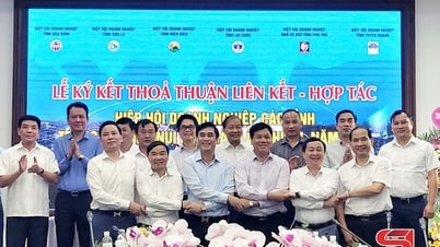 Hình thành hệ sinh thái liên kết và hỗ trợ doanh nghiệp