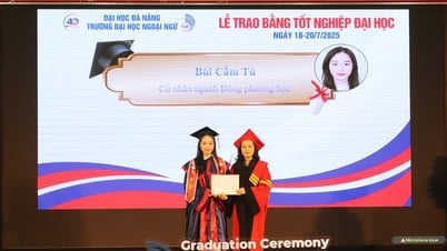 Hơn 1.200 sinh viên Trường Đại học Ngoại ngữ, Đại học Đà Nẵng nhận bằng tốt nghiệp