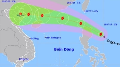 Chủ động ứng phó bão WIPHA