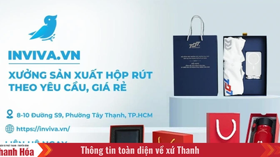 3+ mẫu hộp rút cao cấp, thiết kế đẹp, hot 2025