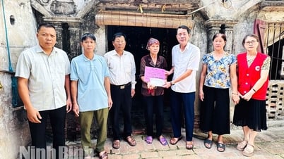 Hội Chữ thập đỏ tỉnh trao hỗ trợ địa chỉ nhân đạo tại xã Nam Lý