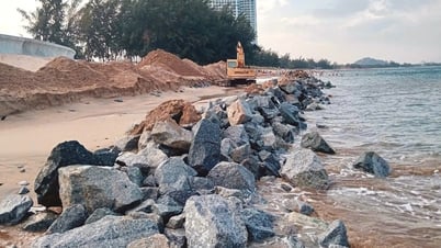 Xử lý ngay bãi đá sắc nhọn ở bãi biển Bình Sơn - Ninh Chữ