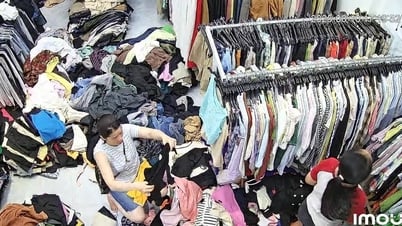 Gen Z Đà Nẵng mê “đồ bành” vì chất sống xanh