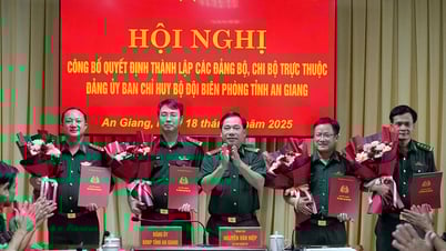 Công bố quyết định thành lập đảng bộ, chi bộ trong Bộ đội Biên phòng