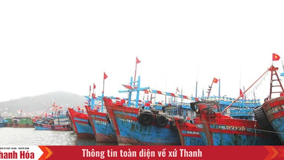 Hiệu quả từ chính sách hỗ trợ phát triển thủy sản và bảo đảm an toàn cho ngư dân