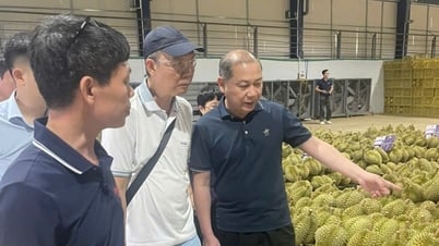 Hải quan Trung Quốc đánh giá cao quy trình xuất khẩu sầu riêng Lâm Đồng