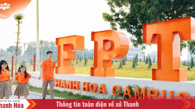 Môi trường học bán trú tại FPT School Thanh Hóa giúp cha mẹ an tâm, con phát triển toàn diện