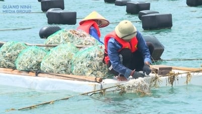 Thủy sản duy trì đà tăng trưởng tích cực
