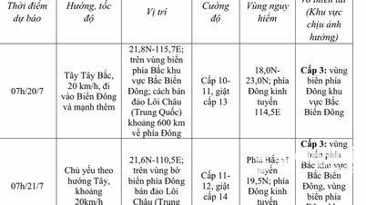 Bão Wipha vào biển Đông, trở thành bão số 3 trong năm 2025