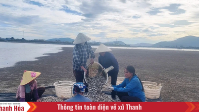 Khi nông dân thi đua sản xuất, kinh doanh giỏi