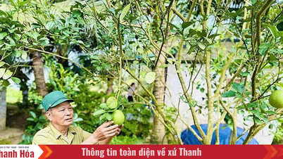 Tăng khả năng tiếp cận vốn cho người dân khu vực nông thôn