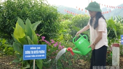 Phát động trồng cây chào mừng Đại hội Đảng bộ phường Lương Văn Tri lần thứ I