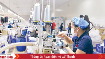 Thanh Hóa ban hành kế hoạch về phát triển kinh tế tư nhân