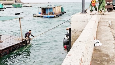 BĐBP Đảo Trần chủ động giúp dân ứng phó bão số 3 Wipha