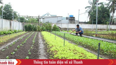 Nâng giá trị đất vườn theo tiêu chí nông thôn mới