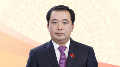 Infographic: Quyền Bộ trưởng Bộ Nông nghiệp và Môi trường Trần Đức Thắng