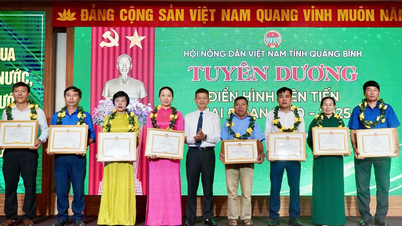 Khi nông dân “nghĩ lớn”