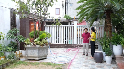 Có hay không sự nhập nhằng trong hợp đồng mua bán đất đai?