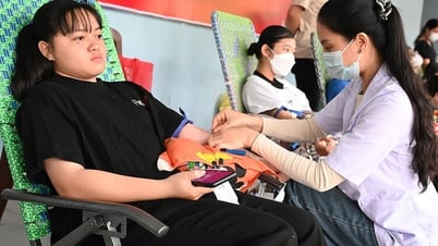 Đoàn viên, thanh niên hiến 202 đơn vị máu