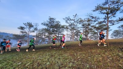 Từ Khu dự trữ sinh quyển thế giới đến Công viên địa chất toàn cầu