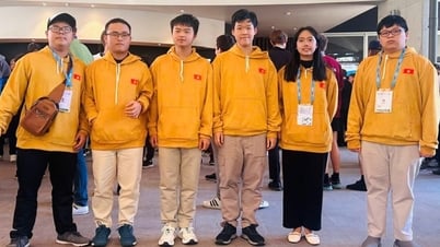 Học sinh Việt Nam giành 2 Huy chương Vàng Olympic Toán quốc tế năm 2025