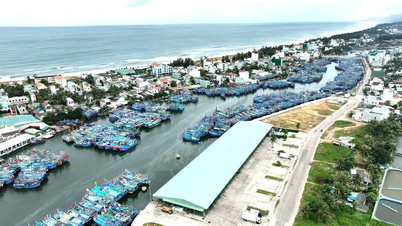 Các xã, phường ven biển: Chung sức, đồng lòng tháo gỡ “thẻ vàng” IUU