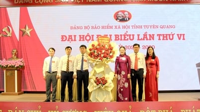 Đảng bộ BHXH tỉnh Tuyên Quang phấn đấu hoàn thành xuất sắc nhiệm vụ giai đoạn 2025 - 2030