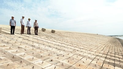 UBND tỉnh ban hành phương án hộ đê toàn tuyến