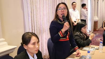 TP.HCM thiếu bến bãi, doanh nghiệp du lịch kêu 'có thuyền mà không bến, thuyền biết về đâu?'