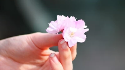 Yêu thương đong đầy năm tháng