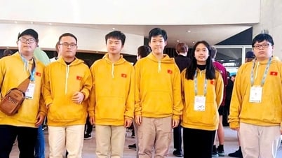 Nam sinh Nghệ An giành Huy chương Vàng Olympic toán quốc tế
