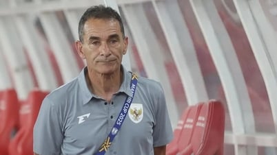 HLV U23 Indonesia thừa nhận không biết luật giải U23 Đông Nam Á