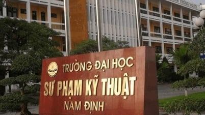 Điểm chuẩn Trường Đại học Sư phạm Kỹ thuật Nam Định 2025