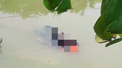 Cụ bà 80 tuổi bị đuối nước ở xã Bắc Thanh Miện (Hải Phòng)
