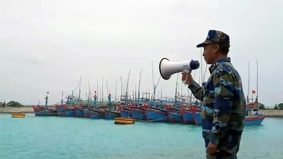 Quân chủng Hải quân: Chủ động phòng chống bão Wipha