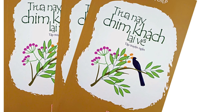 Trưa nay chim khách lại về