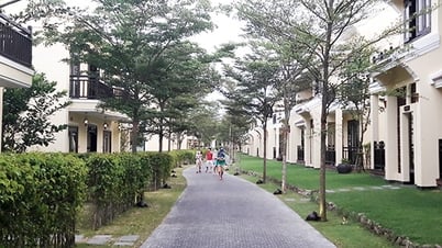 Đà Nẵng: Nguồn cung bất động sản nghỉ dưỡng giảm, chủ yếu hàng tồn